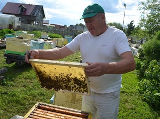 Пчеловодство для Александра Цукаря — и хобби, и заработок, и релакс