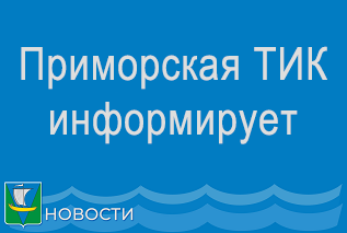 Приморская ТИК принимает заявки в молодежную избирательную комиссию области