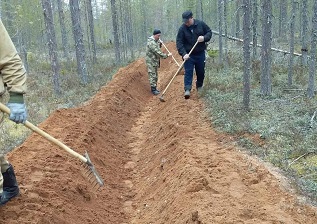 В Архангельской области подвели итоги по противопожарному обустройству лесов в 2022 году