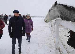 В Архангельской области планируют создавать инфраструктуру для развития конного спорта