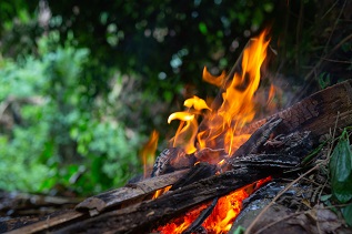 Помните! Лесной пожар опасен!