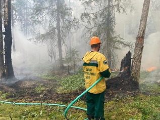 Только за вчерашний день в Поморье из-за гроз произошло семь лесных пожаров