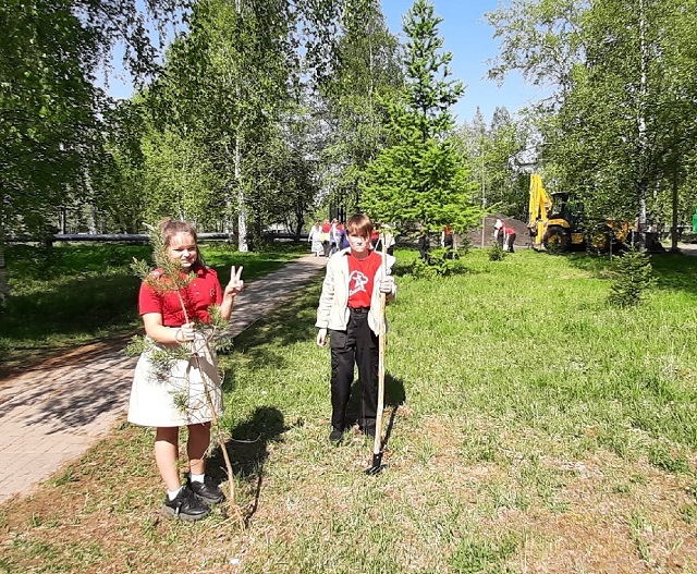 В поселке Уемский в рамках акции «Сад Памяти» появилась аллея Победы